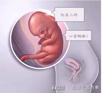 林主任